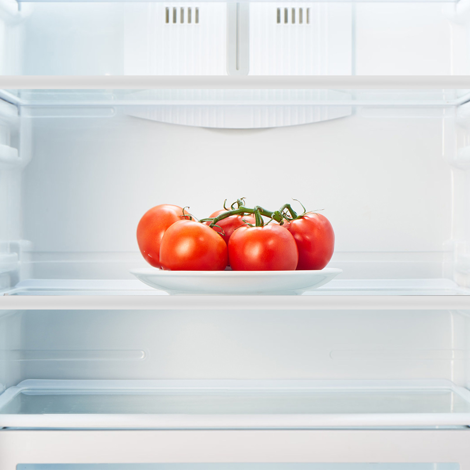 強化ガラス冷蔵庫仕切り棚頑丈な防錆冷蔵庫交換部品生鮮食品オー - Food Storage Dividers のレビューと価格