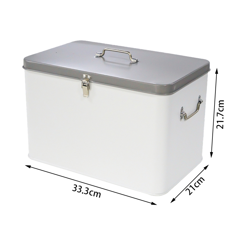ふた付き大容量収納ボックス,金属製ロッカー,大きなオフィス収 - Food Storage Locker のレビューと価格