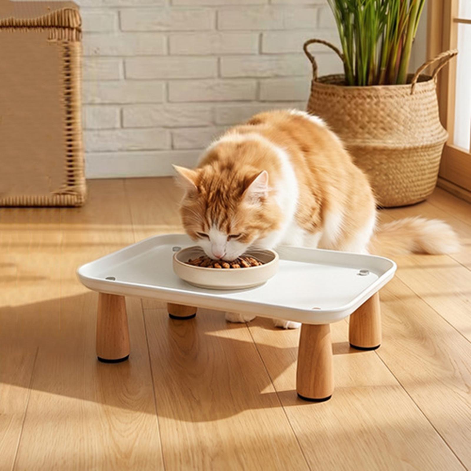 猫用フードスタンド 滑り止め付き 高さのある縁 モダンな高床 - Food Storage Room のレビューと価格